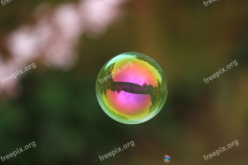 Soap Bubble Ball Float Soapy Water Free Photos