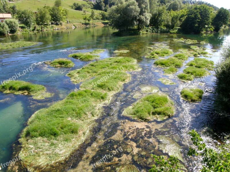 Swamp Low Water River Free Photos