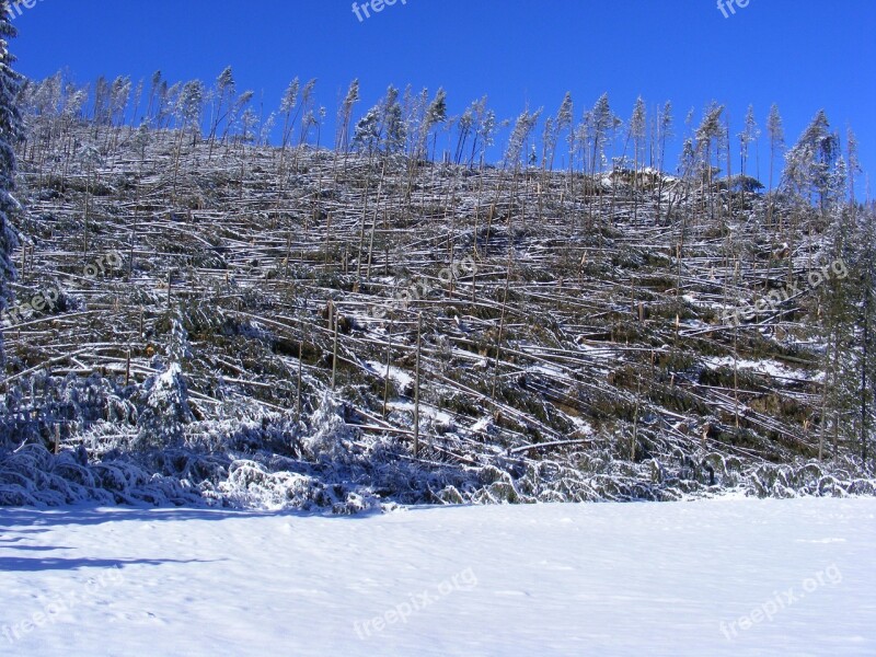 Winter Tatry Poland Kościeliska Valley Mountains