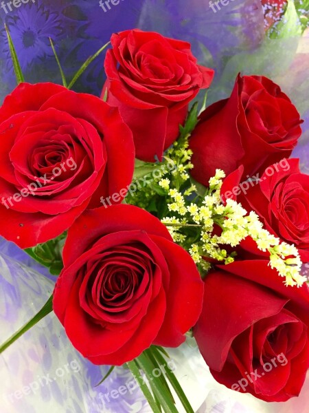 Roses Red Flowers Bouquet Free Photos