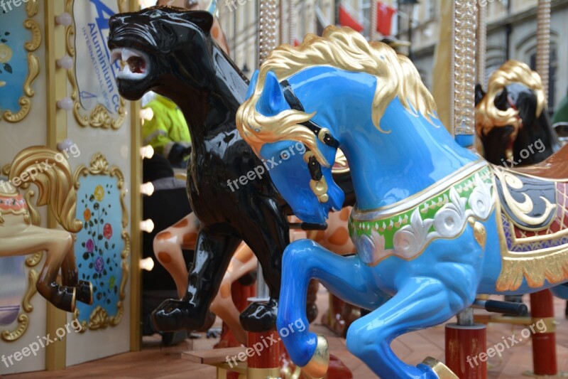 Merry Go Round Amusement Ride Amusement Fun Ride