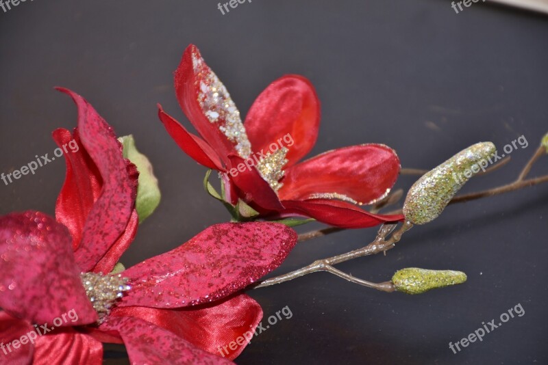 Blossom Bloom Flower Plastic Flower Art Flower