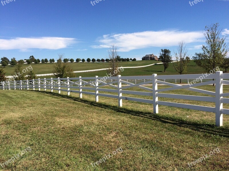 Bluegrass Fence Rural Trees Clouds