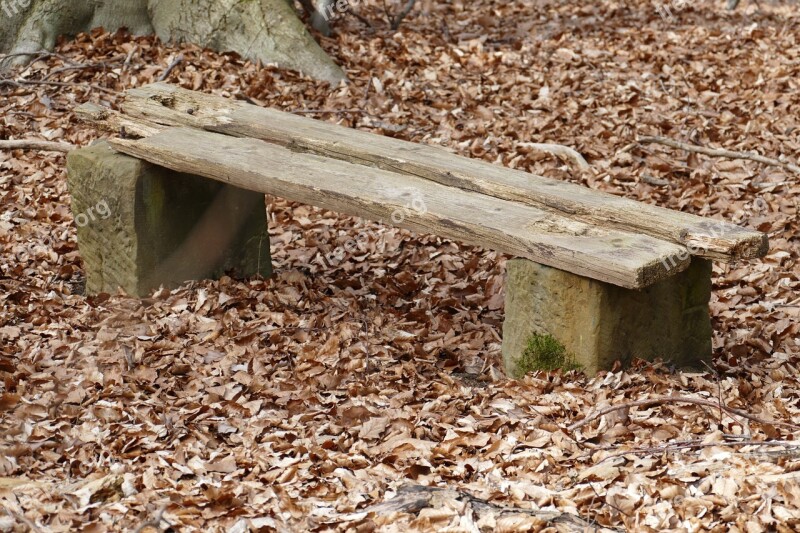 Bank Forest Nature Old Bench