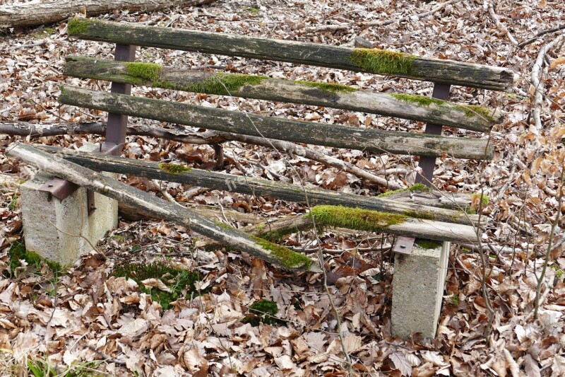 Bank Forest Nature Old Bench