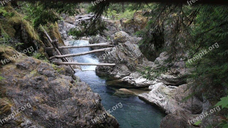 Water Fall Trees Water Fall Nature