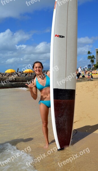 Surfing Hawaii Sur Surfboard Surf Board