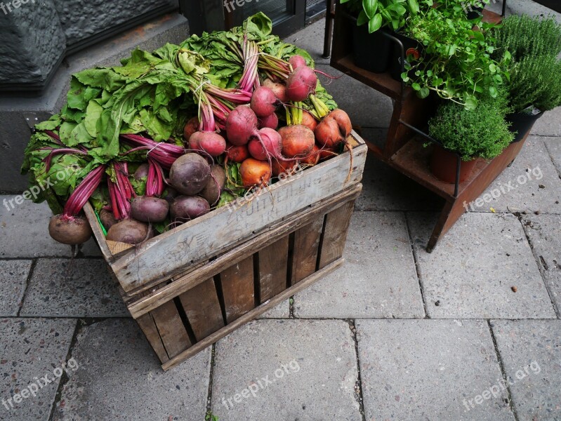 Vegetables Radishes Food Vegetale Free Photos