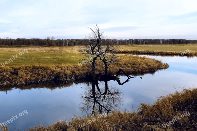 River Tree Mirroring River Landscape Free Photos