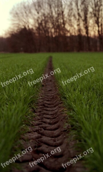 Tire Path Green Wheat Path Tire