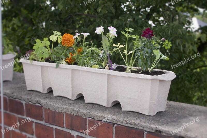 Balcony Box Flower Box Flowerpot Flowers Crate Plant