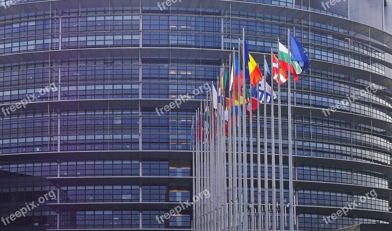 European Parliament Strasbourg Flags Flag Forest Eu