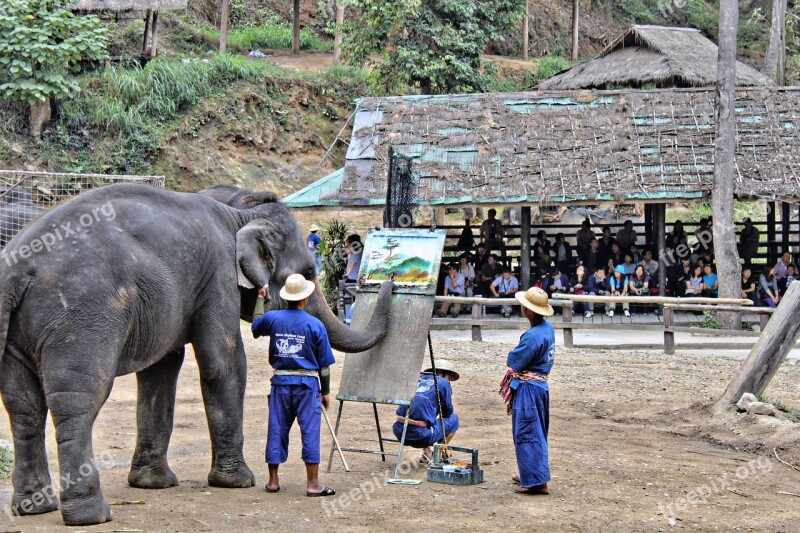 Elephant Artist Thailand Painting Image