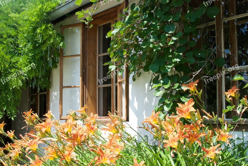 House Flowers Terrace Window Garden