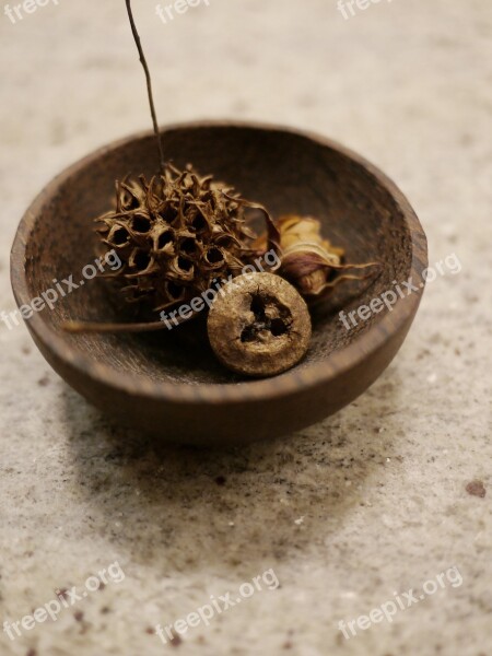 Autumn Dried Flowers Bowl Wood Free Photos