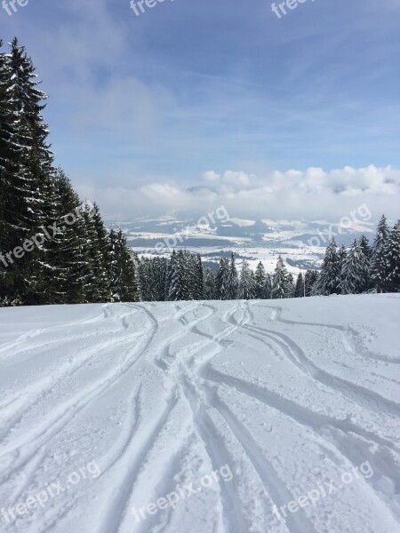 Winter Snow Tracks In The Snow Skiing Nature