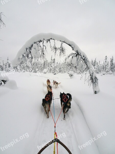 Finland Winter Wintry Lapland Cold