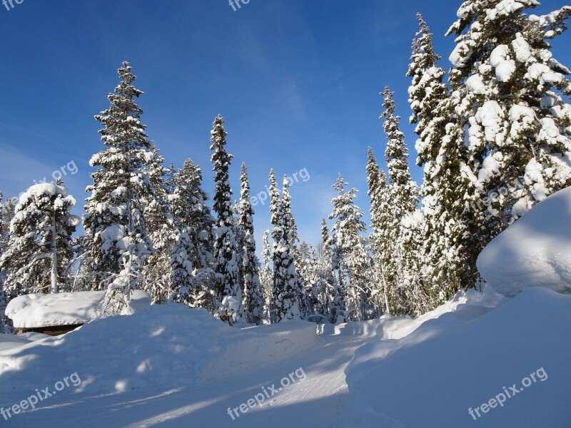 Finland Winter Wintry Lapland Cold