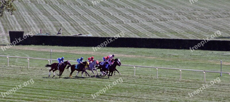 Horse Race Illinois Arlington Park Run