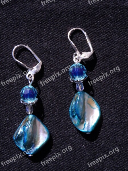 Earrings Blue Beads Sparkling Jewellery