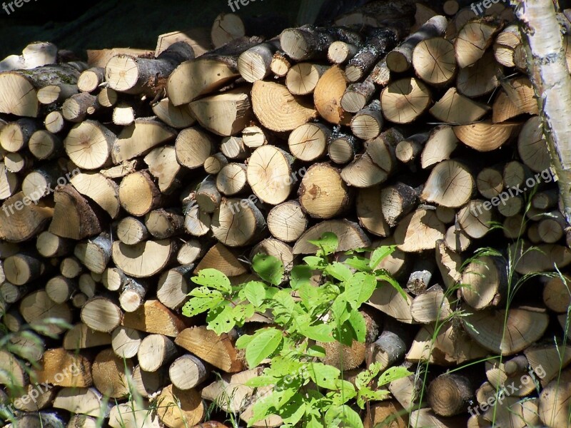 Wood Firewood Holzstapel Combs Thread Cutting Pile Of Wood