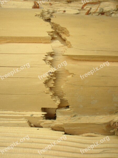 Wood Crack Light Brown Fracture Free Photos