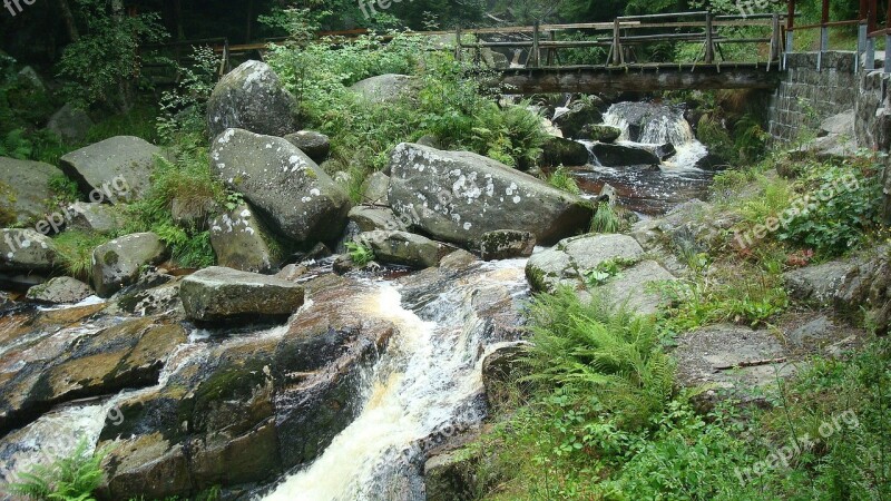 Stone Run Migratory Goal Resin Creek Nature