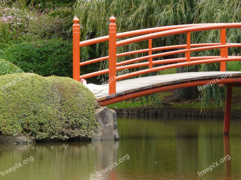 Japanese Bridge Red Landscape Toowoomba