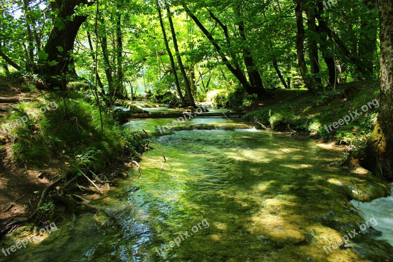 Flowing Water Nature Woods Flow Water