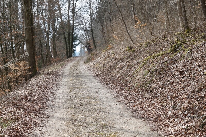 Forest Spring Away Tuttlingen Möhringen