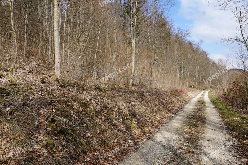 Forest Spring Away Tuttlingen Möhringen