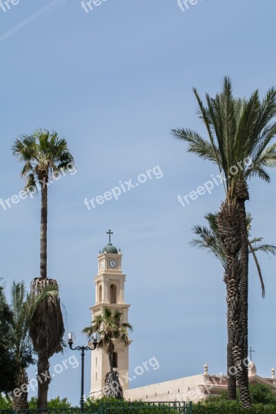 Church Tower Palm Trees Building Architecture