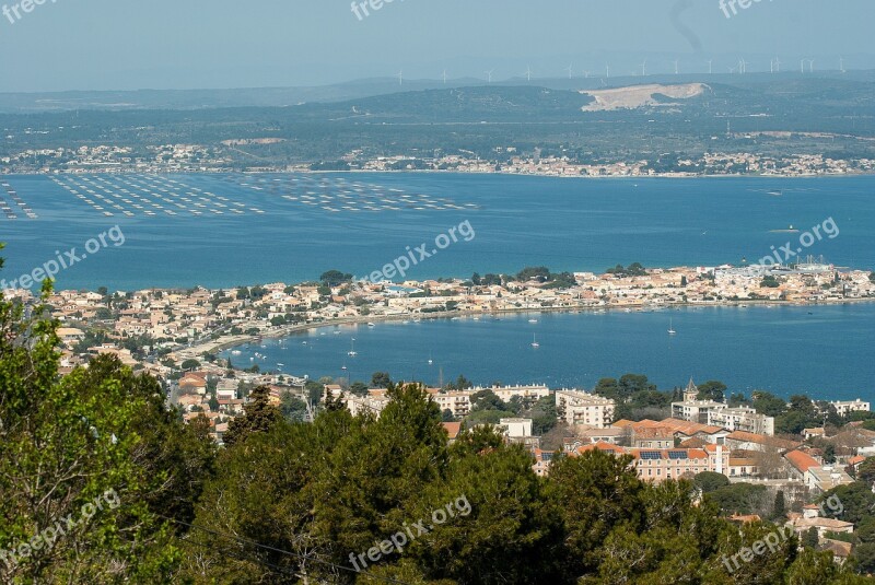 France Sète Mediterranean Oyster Free Photos