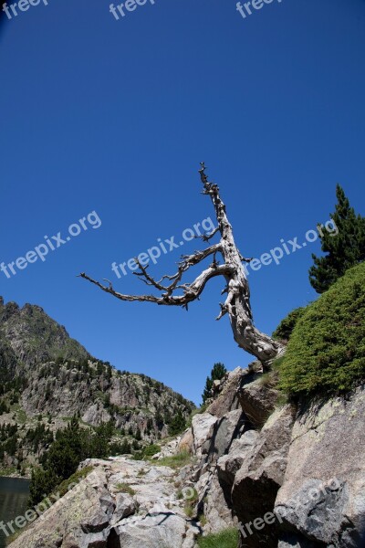 Spain Nature Forest Travel Landscape