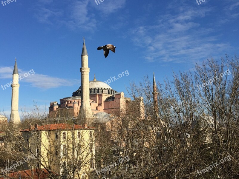 Hagia Sophia Istanbul Sultanahmet Townscape View