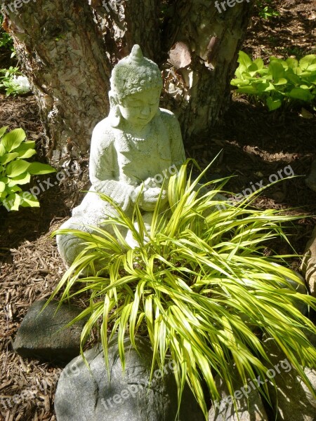 Budha Birch Grass Garden Decor