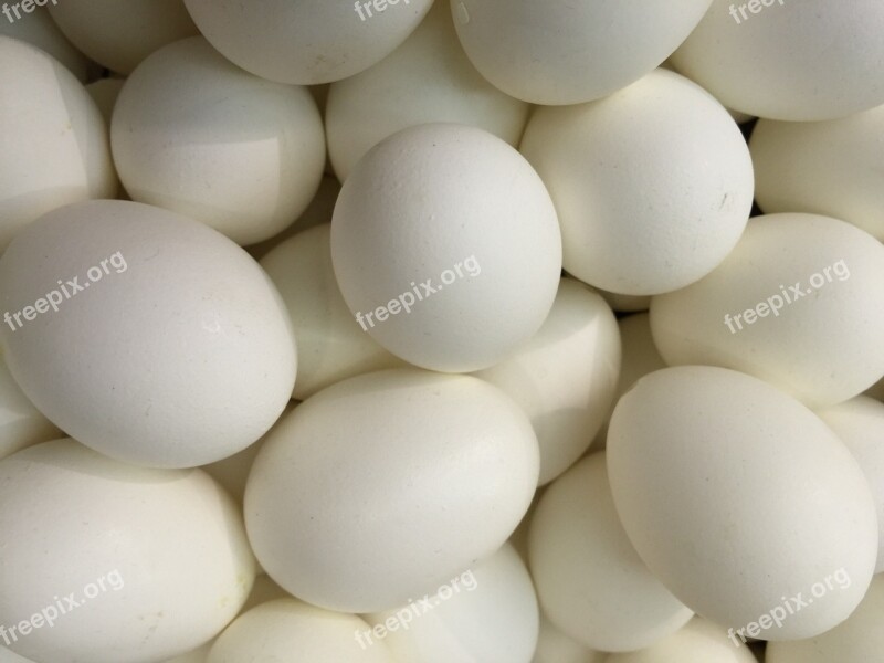 Goose Egg Geese Eggs Easter Egg Decoration Egg