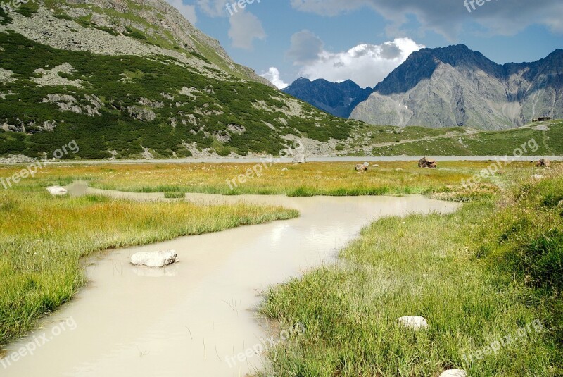 The Alps Austria Glacial Stream Mountains Stream