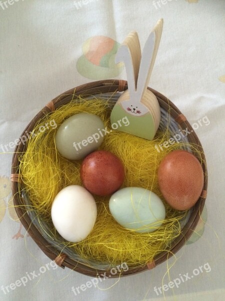 Easter Nest Eggs In Natural Colors Rabbit Free Photos