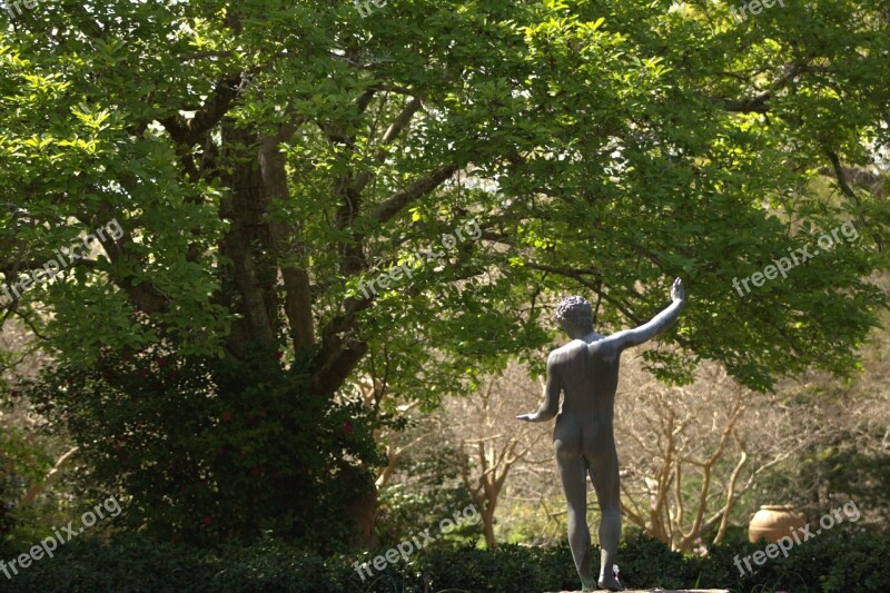 Tree Garden Statue Greek Sculpture