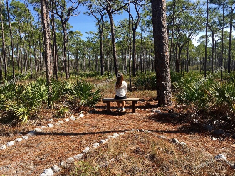 Nature Contemplation Reflection Meditation Trees