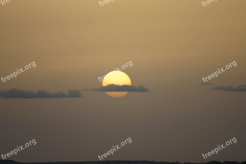 Sunset Sun Clouds Birds Nature