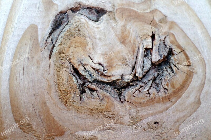 Wood Knot Background Texture Weathered