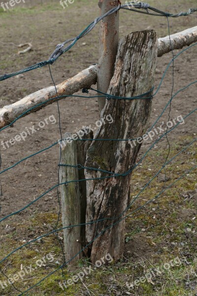 Paddock Fence Wire Tribe Nature