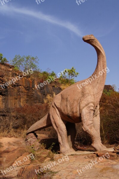 Dinosaur Mali Bamako Sky Radius