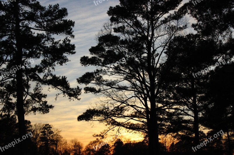 Trees Sun Down Sky Free Photos