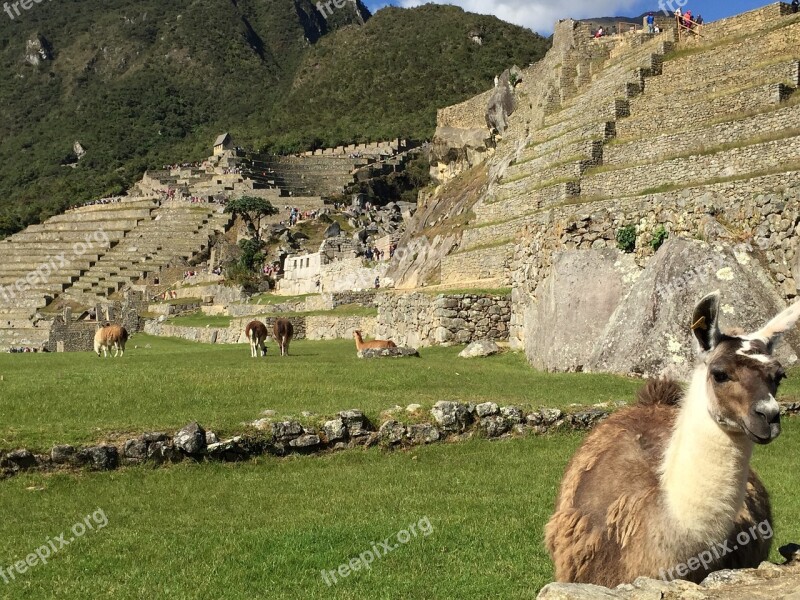 Machu Pichu Peru Hiking Free Photos