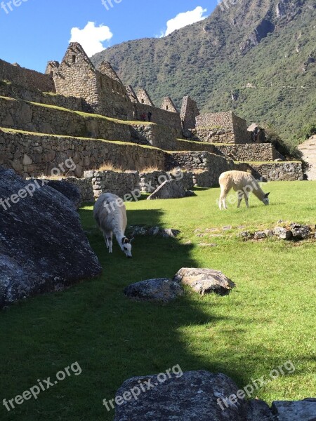 Machu Pichu Peru Hiking Free Photos