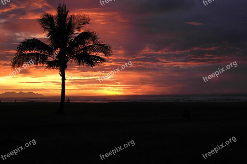 Born Sun Landscape Beach Nature Horizon