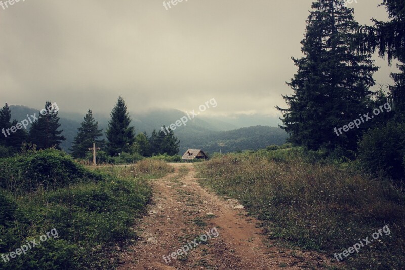 Country Road Dirt Road Dirt Road Landscape